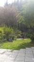 Garten 2.jpg - 