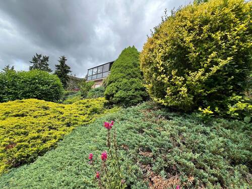 Blick aufs Haus - 