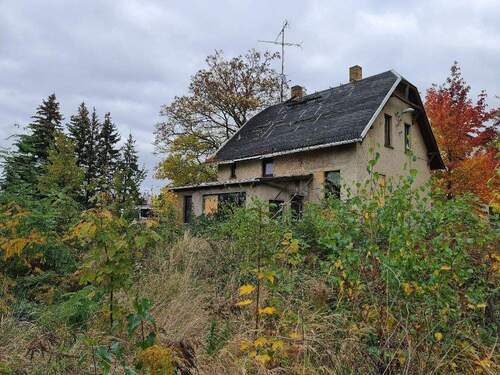 Gartenseite.jpg - Einfamilienhaus mit 180,00 m² in Leipzig zum Kaufen