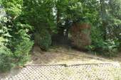 Gartenaufgang Waldstück - 
