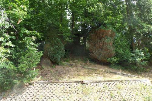 Gartenaufgang Waldstück - 