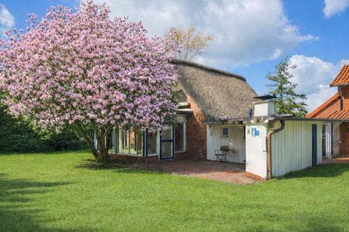 Tulpenbaum in der Blüte - Reetdach-Ensemble - Zwei Wohnhäuser sowie Baugrundstück mit positivem Bauvorbescheid