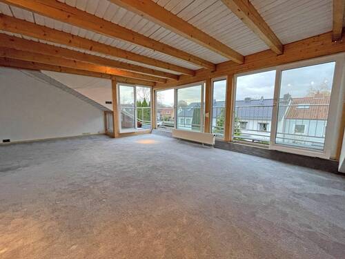 DG Studio - 