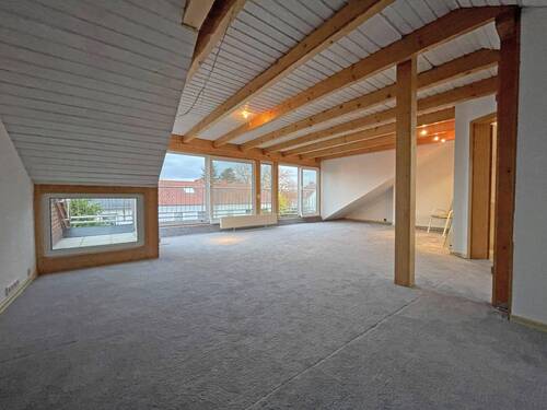 DG Studio - 