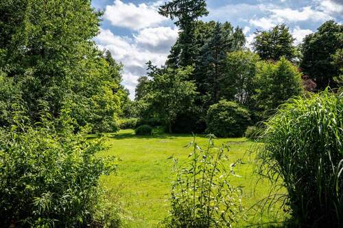 Blick in den Garten - 