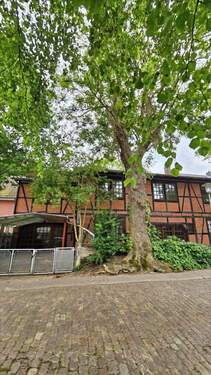 West-Ansicht (Einbahnstraße) - 