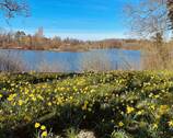 Seeufer - 