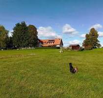 Einmaliges Doppelhaus inmitten des Naturschutzes - Rötenbach