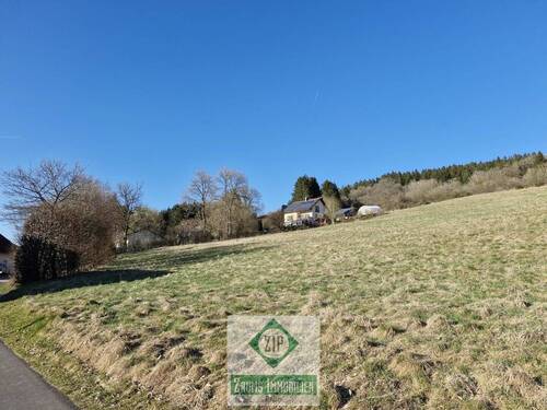 Bild 1 - Baugrundstück in Willwerath - 800 m² Natur pur