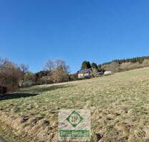 Baugrundstück in Willwerath - 800 m² Natur pur - Weinsheim