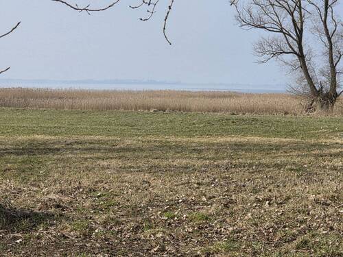 Blick auf den Barther Bodden - 
