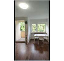Single-Appartment 1-ZKB mit Kellerabteil - ab sofort - München Thalk.Obersendl.-Forsten-Fürstenr.-Solln