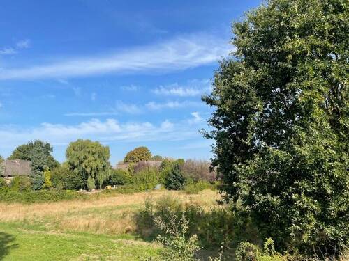 Blick vom alten Elbdeich aus 2 - Grundstück zum Kaufen in Drage