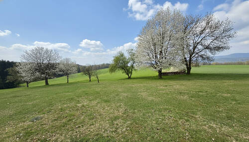 Bild 6 - 