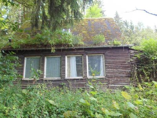Holzbungalow - 