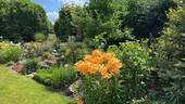 Garten - 5 Zimmer Einfamilienhaus zum Kaufen in Kühlungsborn