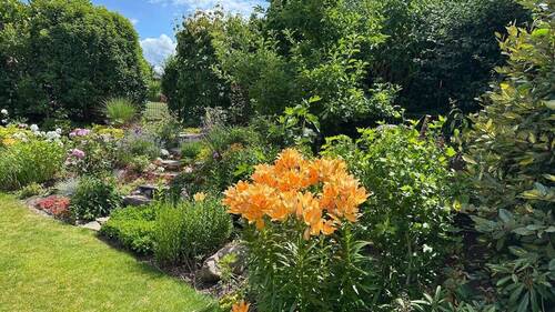 Garten - 5 Zimmer Einfamilienhaus zum Kaufen in Kühlungsborn