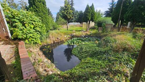 Gartenteich hinter H2.jpg - 