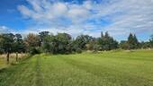 Wiese mit Blick Richtung Haus 2.jpg - 