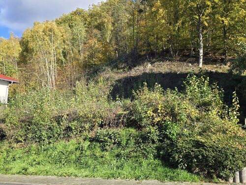 Bild 1 - Sandbach - Sonniges Grundstück am Waldrand - auch MFH möglich