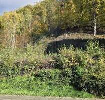 Sandbach - Sonniges Grundstück am Waldrand - auch MFH möglich - Breuberg / Sandbach