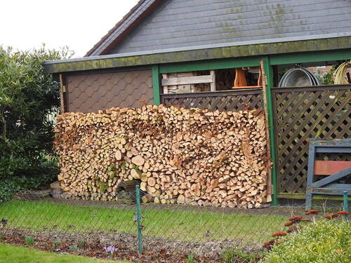 Bild 11 - 