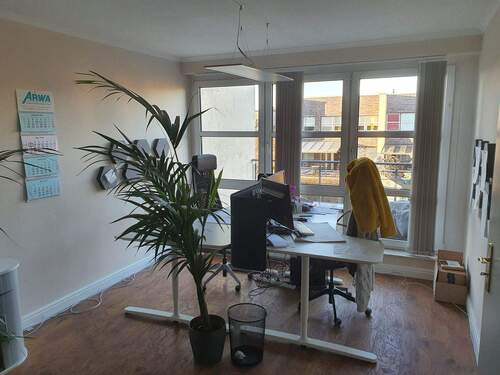 IMG-20260122-WA0003.jpg - 