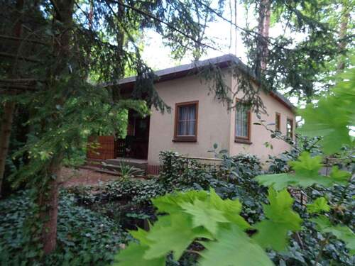 süden.JPG - Idyllisch gelegenes Freizeit- Wochenend- Waldgrundstück mit Bungalow in ruhiger Randlage von Zeulenroda-Triebes zu verkaufen