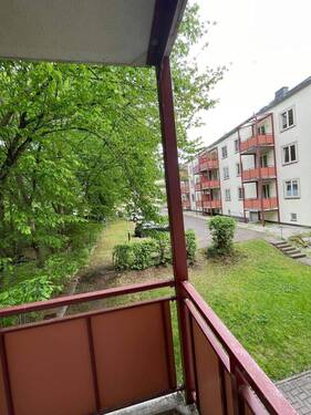 IMG_5180.jpeg - 