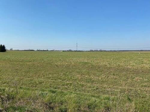 Blick über die Felder nach Südwest - 