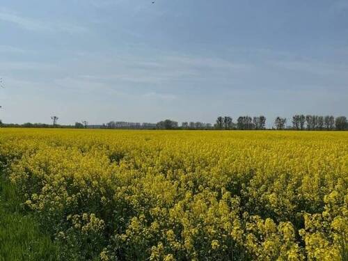 Umgebung von Nauen - 