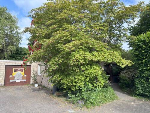 Außenansicht - 5 Zimmer Einfamilienhaus zum Kaufen in Krefeld
