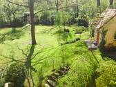 Bild 10 - 