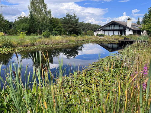 Haupthaus mit Teich - Grundstück mit 2 Häusern - Einzelverkauf möglich