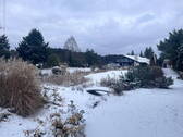 Winter - 1 Zimmer Mehrfamilienhaus, Wohnhaus zum Kaufen in Kleinseebach