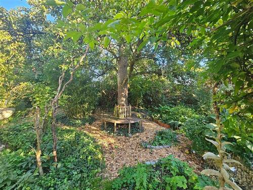 noch mehr Garten - 