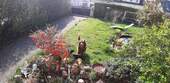 Garten vorne - 