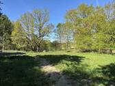 Bild 11 - 