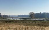 Bild 17 - 