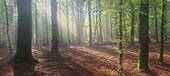 Bild 18 - 