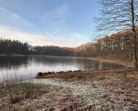 Bild 19 - 