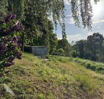 Naturgrundstück für Tinyhaus oder Jurte im Landschaftsschutzgebiet des Naturparks Stettiner Haff - Blankensee Freienstein