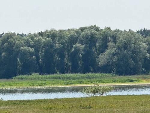 Impressionen - 