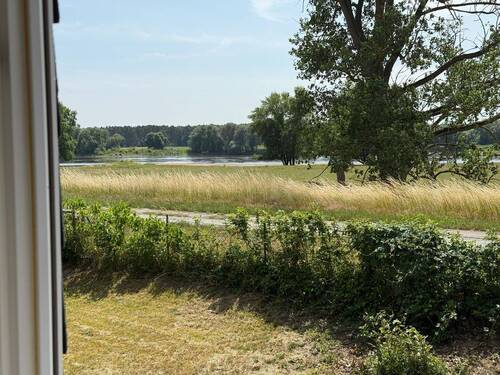 Blick zur Elbe - 