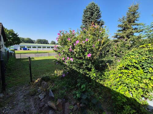 Garten - 