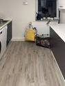 vermietete Wohnung - 