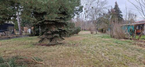 Ansicht von der Straße - unbebautes Grundstück in Wustermark, OT Priort, An der Haarlake 12 b