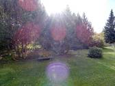 Blick in Garten - 