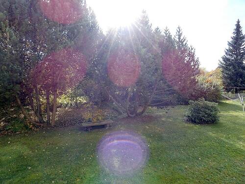 Blick in Garten - 