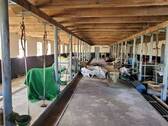 Scheune - Mehrfamilienhaus, Wohnhaus mit 150,00 m² in Friedeburg zum Kaufen